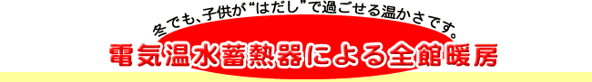 �d�C�����~�M��ɂ��S�ْg�[