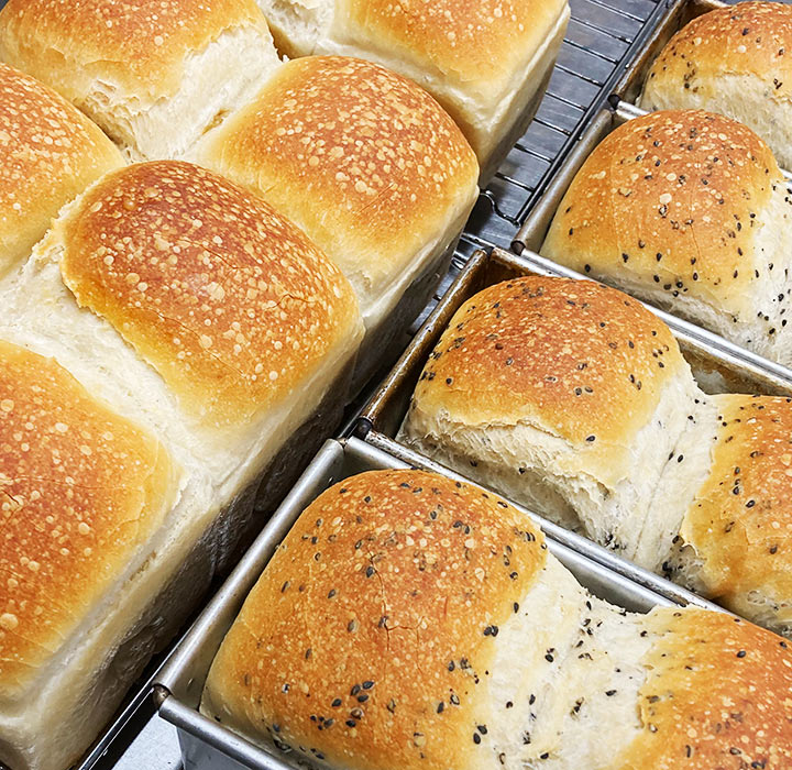 新緑の北アルプス