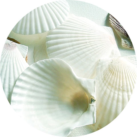 施設内の内装は天然素材をベースに