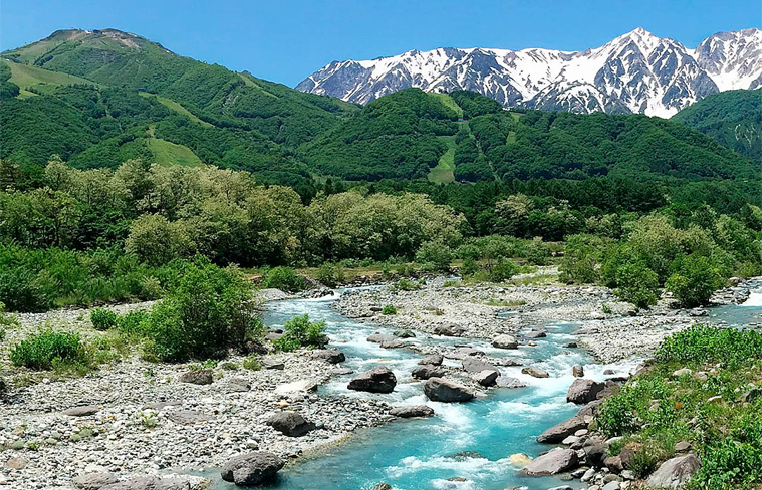 新緑の北アルプス