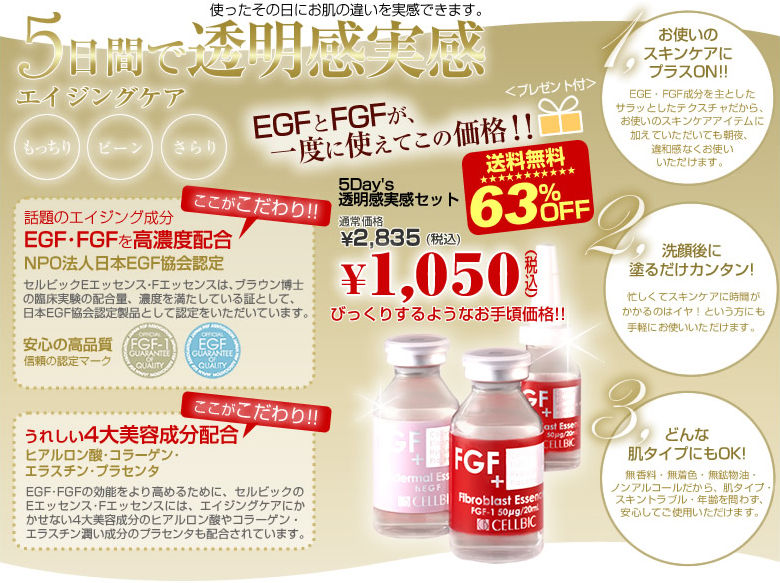5Day's�����������Z�b�g