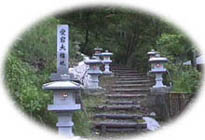 ���������Q�������