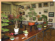 �����W�P