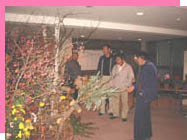 �����W�Q