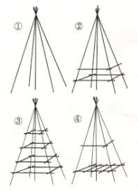 ���񂪂�̑g���}