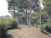 �C�K�隬�R��