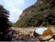 ��Ȑ�Ɖ��̐[�R