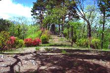 �C�K��R��