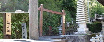 �C�K��̓����