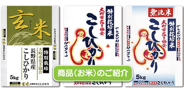 商品の紹介