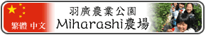 �H�A�_�ƌ��� Miharashi�_��F�݂͂炵�t�@�[�������� ��� �����T�C�g