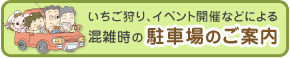 �݂͂炵�t�@�[�����ԏ�̂��ē�