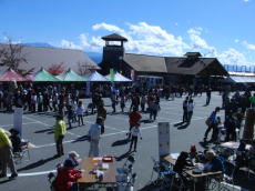 �H�͎���݂̂͂炵�܂�