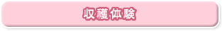 収穫体験