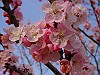 04060056_thumb.jpg