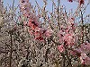 04060060_thumb.jpg