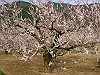 04060070_thumb.jpg