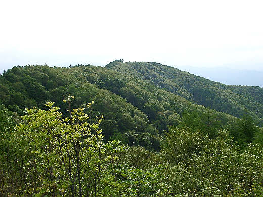 04moriya05.jpg