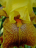 04moriya15_thumb.jpg