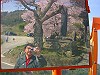 08_thumb.jpg